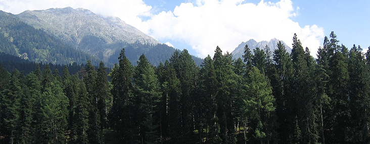 Pahalgam